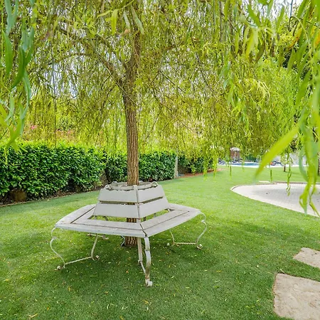 Rachel Trilo Apartamento